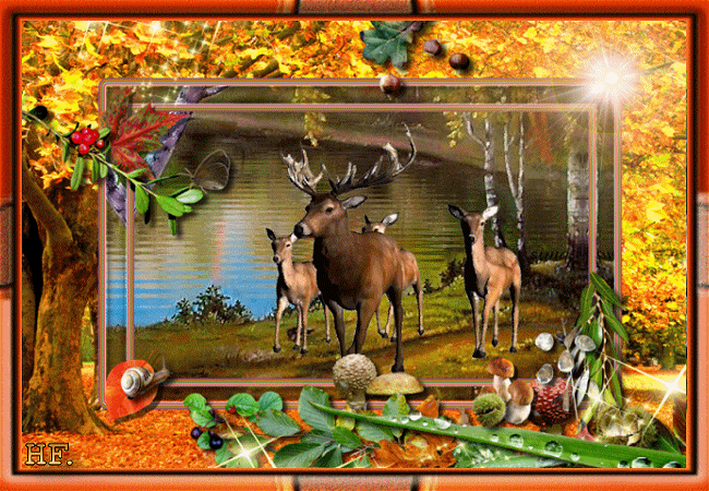 7453627536732_-_2019